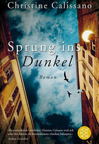 Sprung ins Dunkel