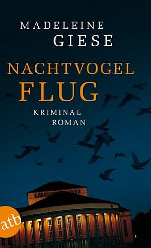 Nachtvogelflug