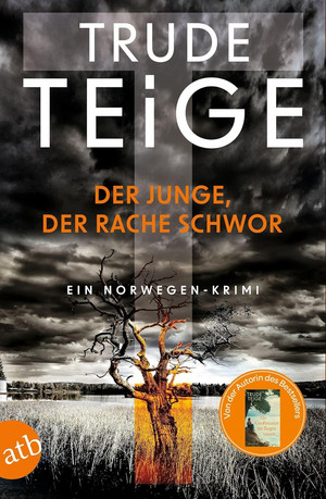 Der Junge, der Rache schwor (Kajsa Coren 1)