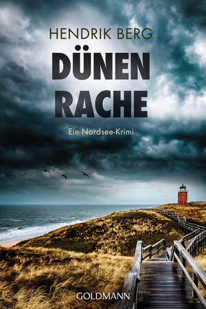 Dünenrache (Ein Fall für Theo Krumme 9)