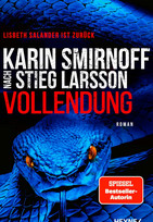 Vollendung (Millennium 9)