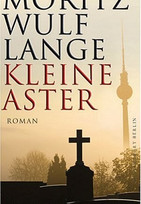 Kleine Aster