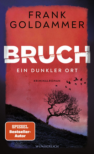 Bruch: Ein dunkler Ort