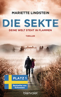 Die Sekte - Deine Welt steht in Flammen (Sofia Bauman 4)