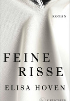 Feine Risse