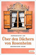 Über den Dächern von Rosenheim