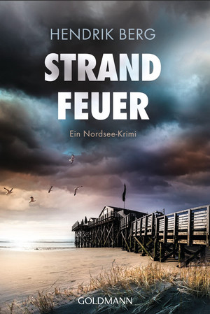 Strandfeuer (Ein Fall für Theo Krumme 8)