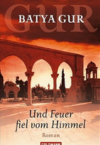 Und Feuer fiel vom Himmel