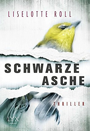 Schwarze Asche