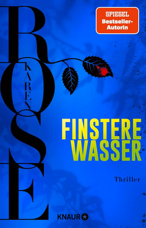 Finstere Wasser (Die New-Orleans-Reihe 2)
