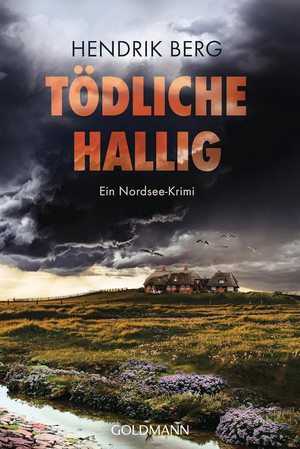 Tödliche Hallig (Ein Fall für Theo Krumme 12)