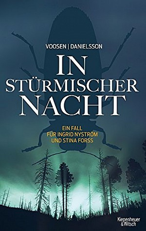 In stürmischer Nacht