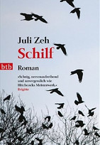 Schilf