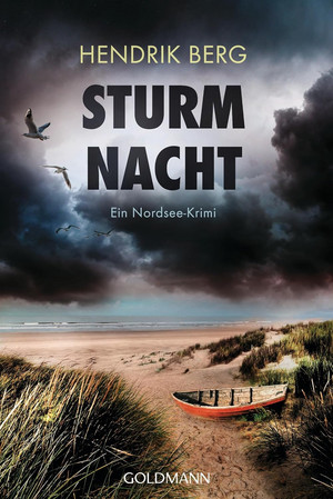 Sturmnacht (Ein Fall für Theo Krumme 10)