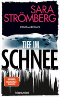 Tief im Schnee (Ein Fall für Vera Bergström 3)