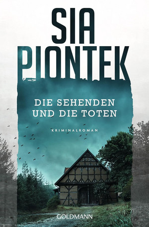 Die Sehenden und die Toten (Ein Carla-Seidel-Krimi 1)