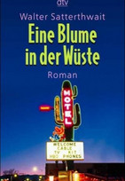Eine Blume in der Wüste