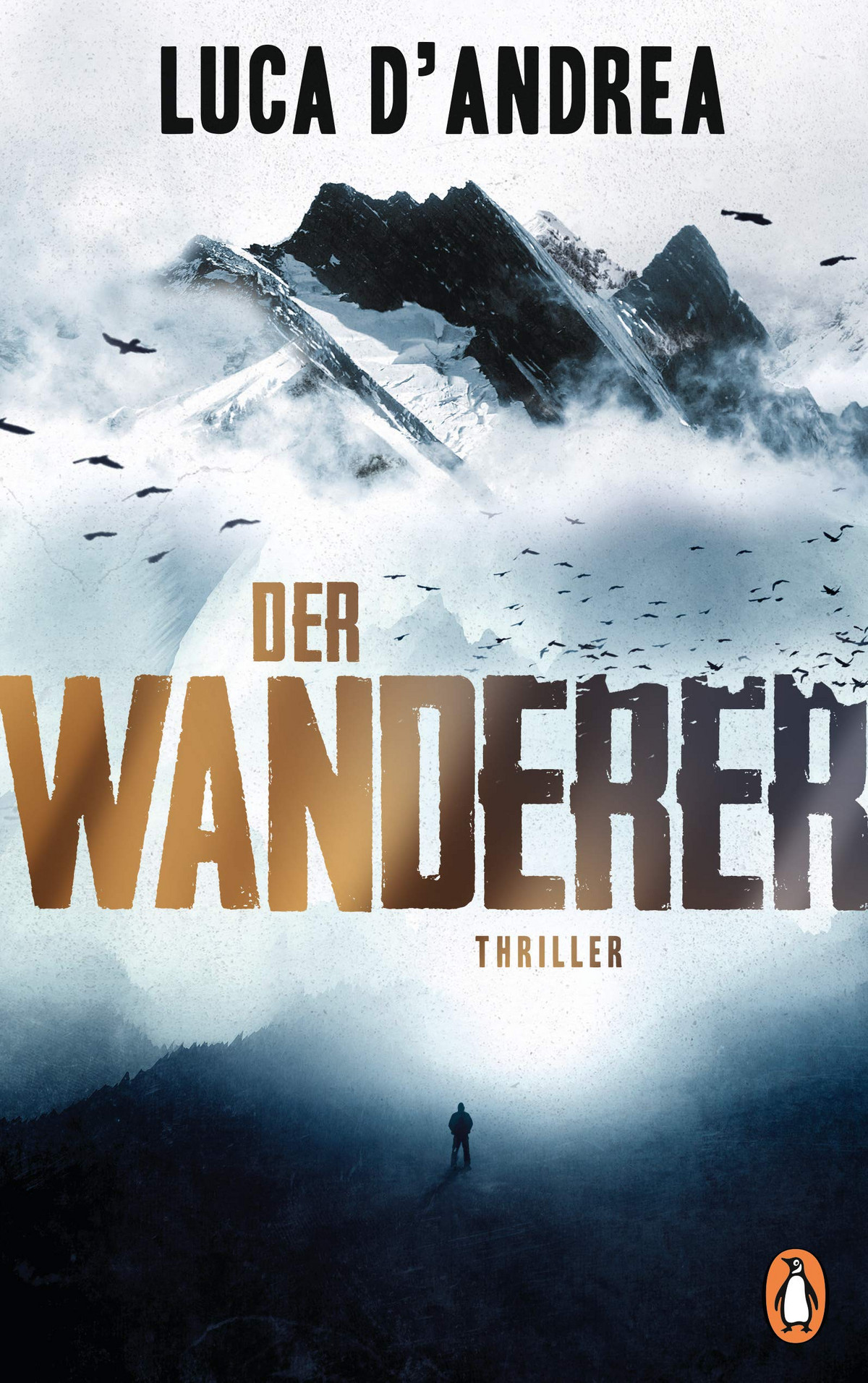 Ein Cover des Buches &lsquo;Der Wanderer&rsquo; von Luca D&rsquo;Andrea