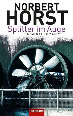 Splitter im Auge